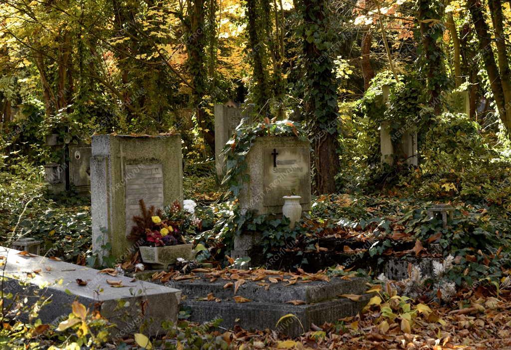 Kegyelet - Emlékezés - Mindenszentek és halottak napja előtt az Új Köztemető