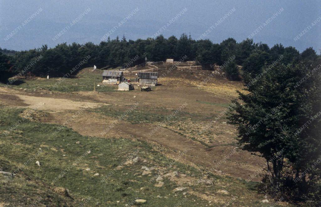 Táj, város - Román falvak - Alsósófalva