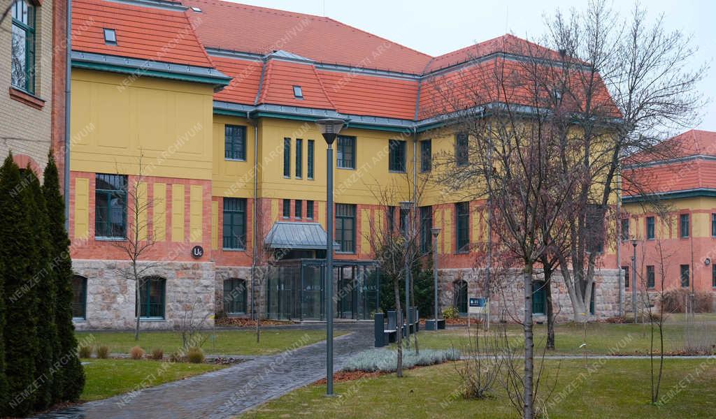 Oktatás - Budapest - IBS Nemzetközi Üzleti Főiskola 