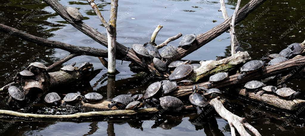Állatvédelem - Fővárosi Állat- és Növénykert