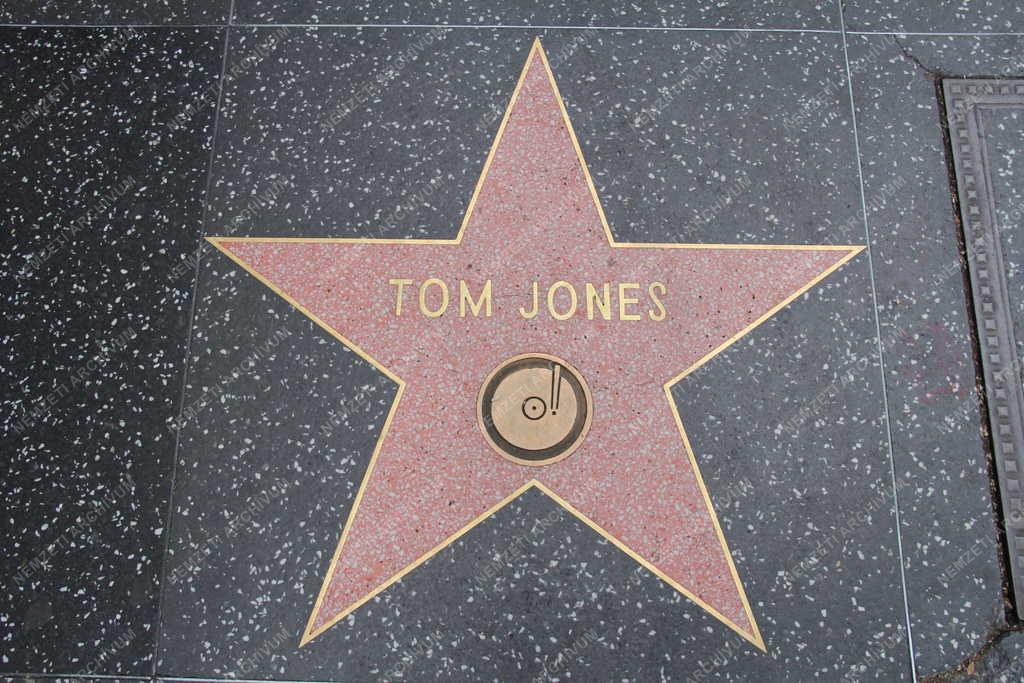 Könnyűzene - Tom Jones walesi énekes csillaga