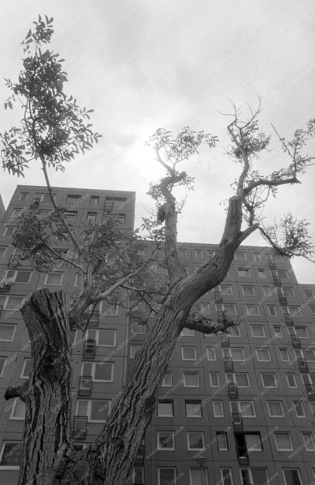 Városok - Gazdagréti lakótelep