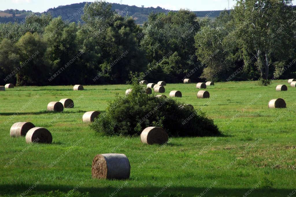 Mezőgazdaság - Bodrogkeresztúr - Szénabálák az ártéri kaszálón