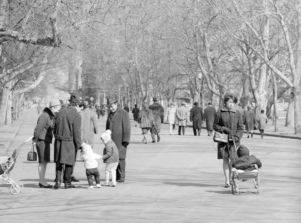 Városkép-életkép - Sétálók a parkban