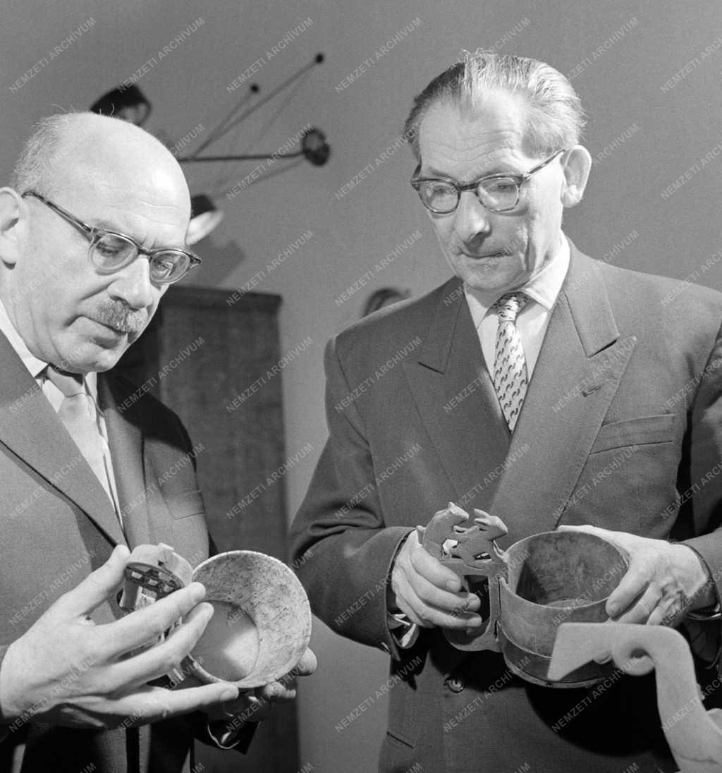 Komolyzene - Belga származású zenetudós Magyarországon 