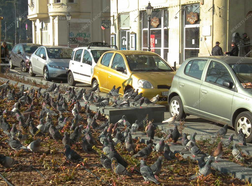 Budapest - Városkép