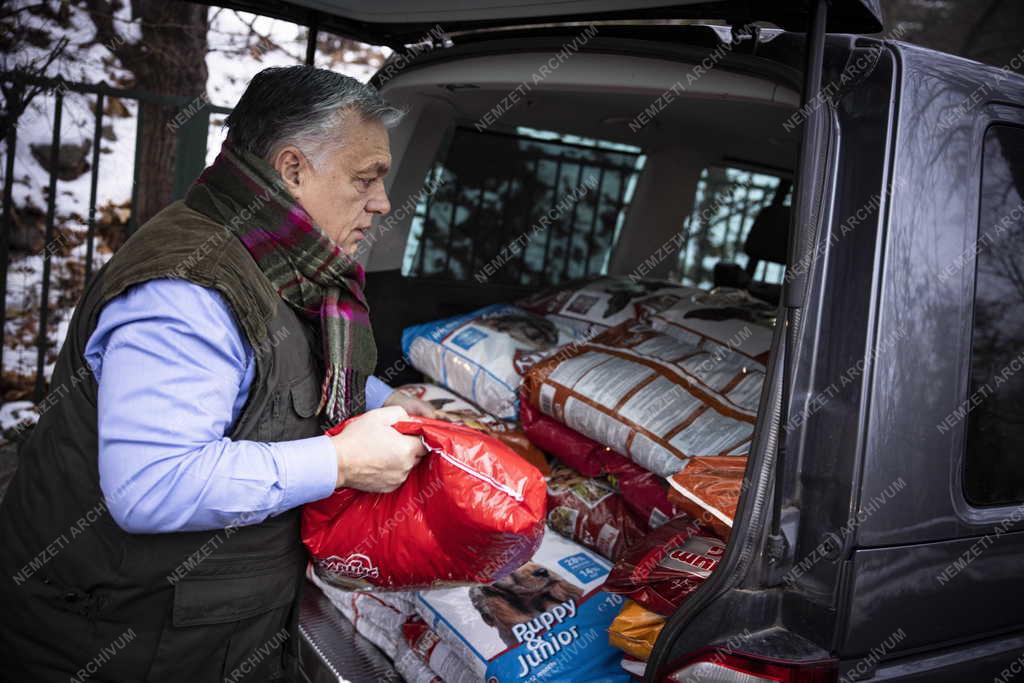 Orbán Viktor az ürömi állatotthonba látogatott