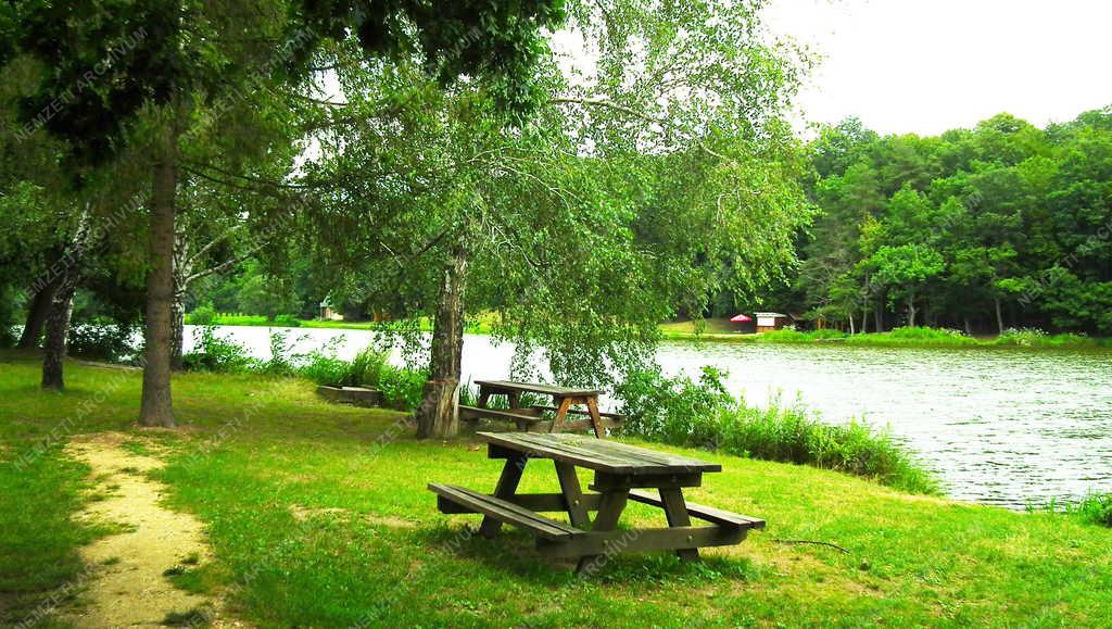 Tájkép - Hegyhátszentjakab - A Vadása-tó