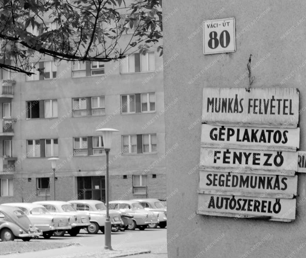 Munka - Álláshirdetés