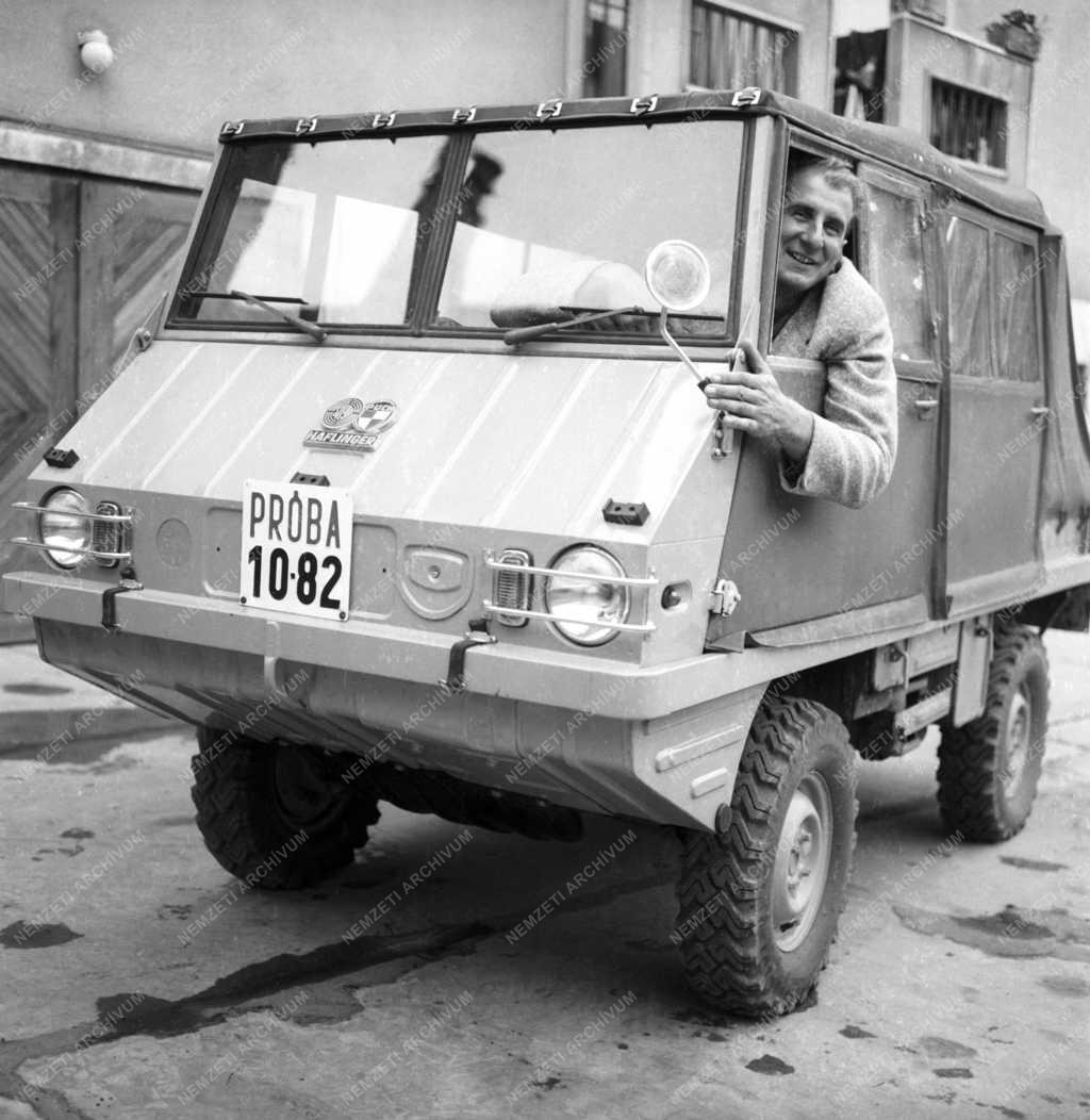 Közlekedés - Steyr-Daimler-Puch Haflinger terepjáró