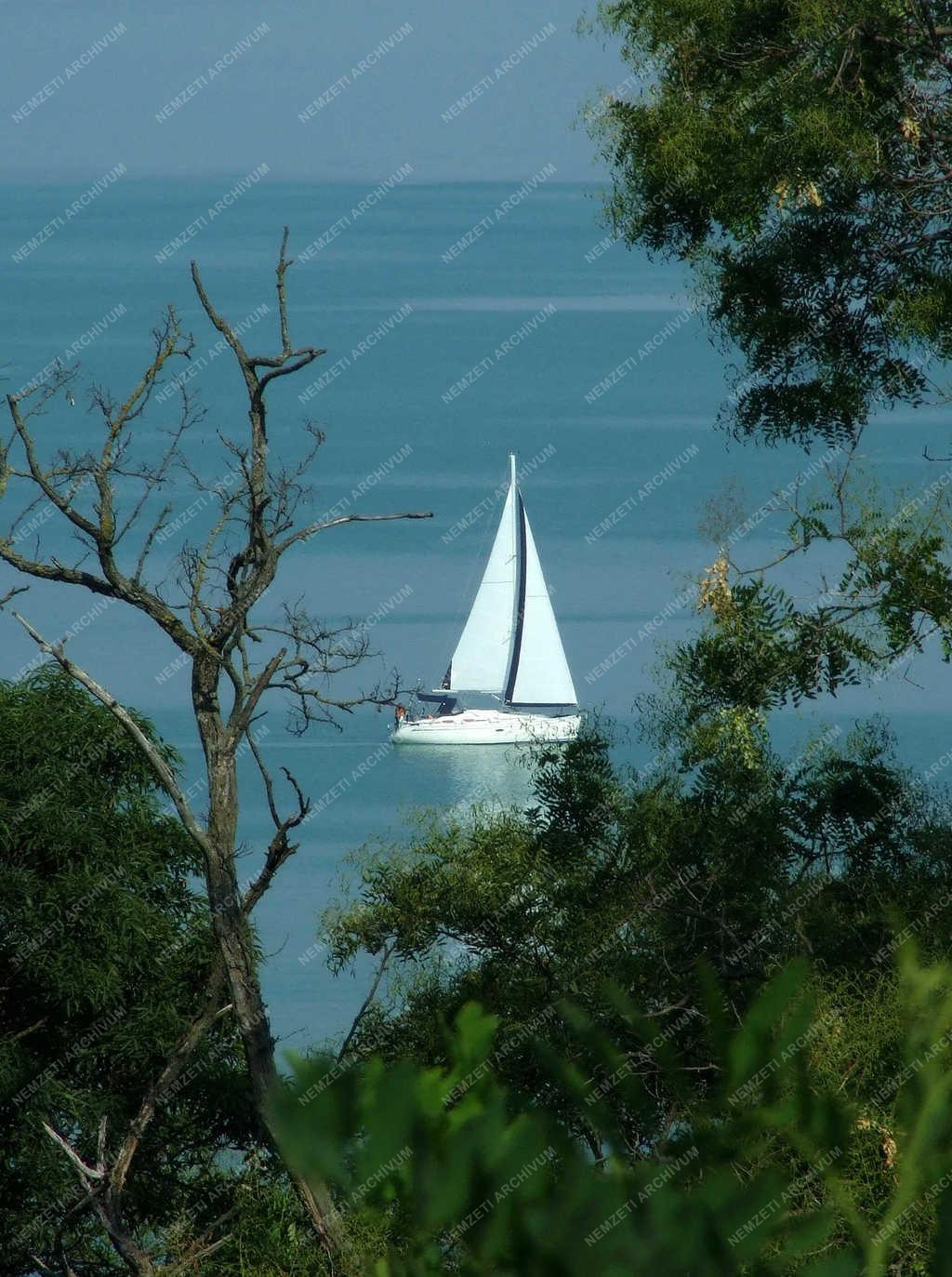 Tájkép - Tihany - Vitorlások a Balatonon 