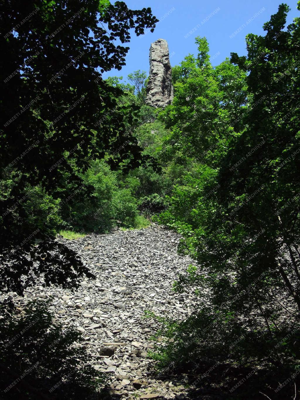 Tájkép - Badacsony - Bazaltorgonák 