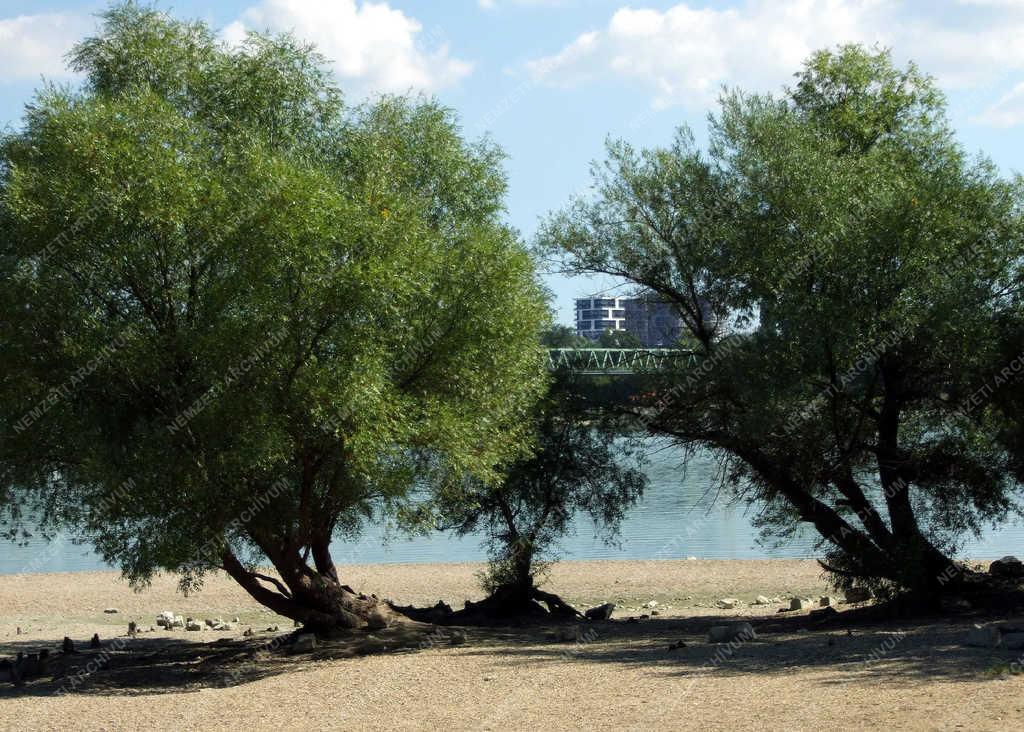 Városkép - Budapest - A Hajógyári-sziget északi sarka 