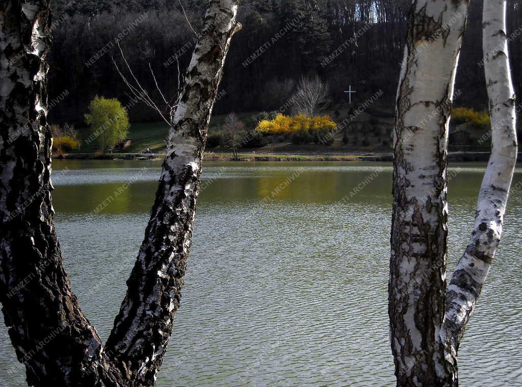 Tájkép - Zalacsány - Mesterséges horgásztó