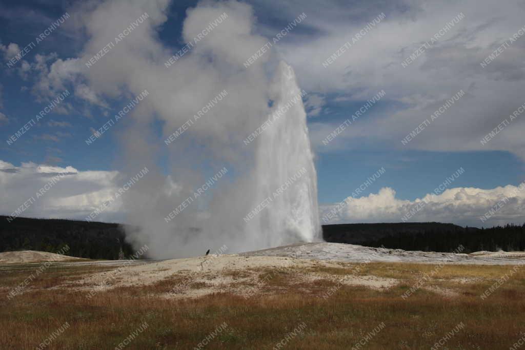 Természet - Yellowstone - Az Old Faithful gejzír
