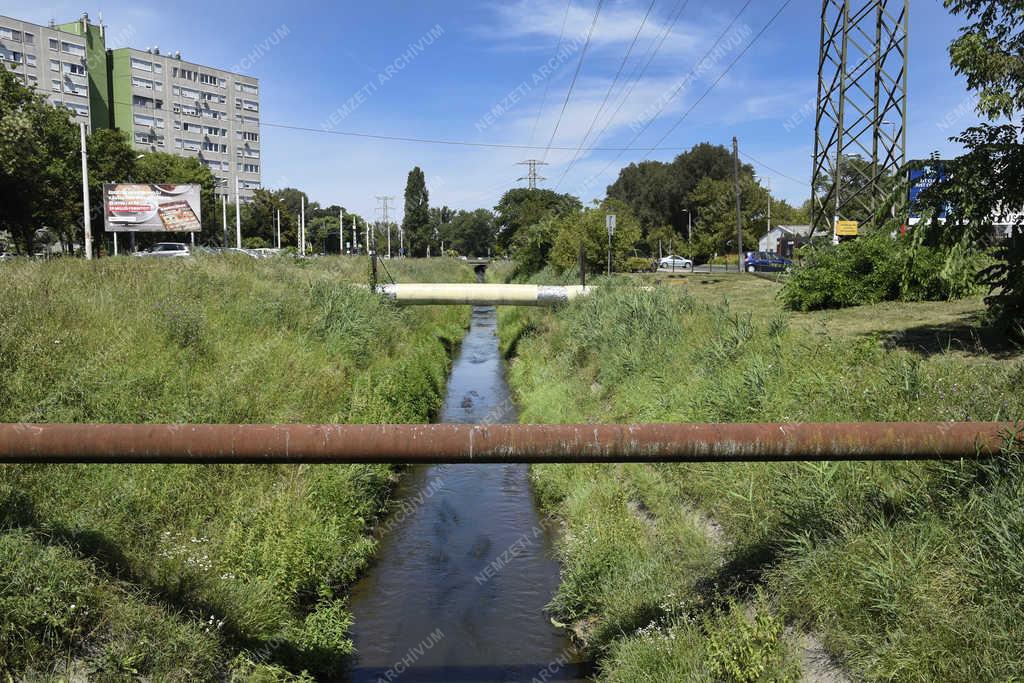 Természet - Budapest - Rákos-patak