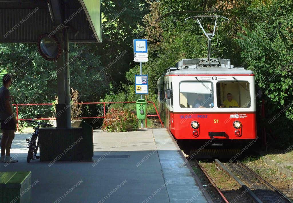 Közlekedés - Budapest - A fogaskerekű vasút 
