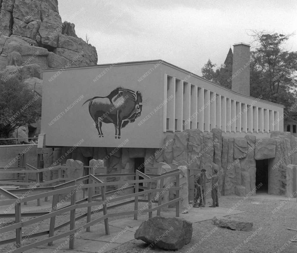 Újjáépítés - Fővárosi Állat- és Növénykert