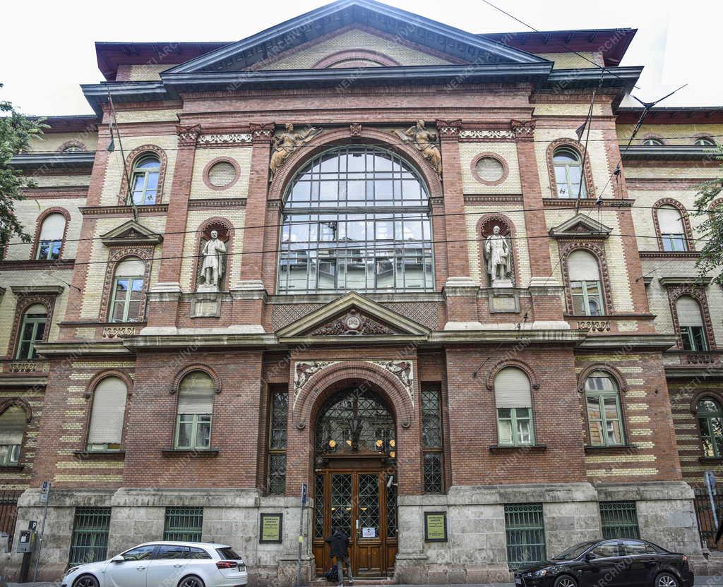 Egészségügy - Semmelweis Egyetem Transzplantációs és Sebészeti Klinika