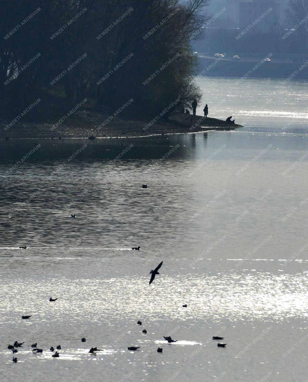 Tájkép - Budapest - Késő ősz a Lágymányosi öbölben