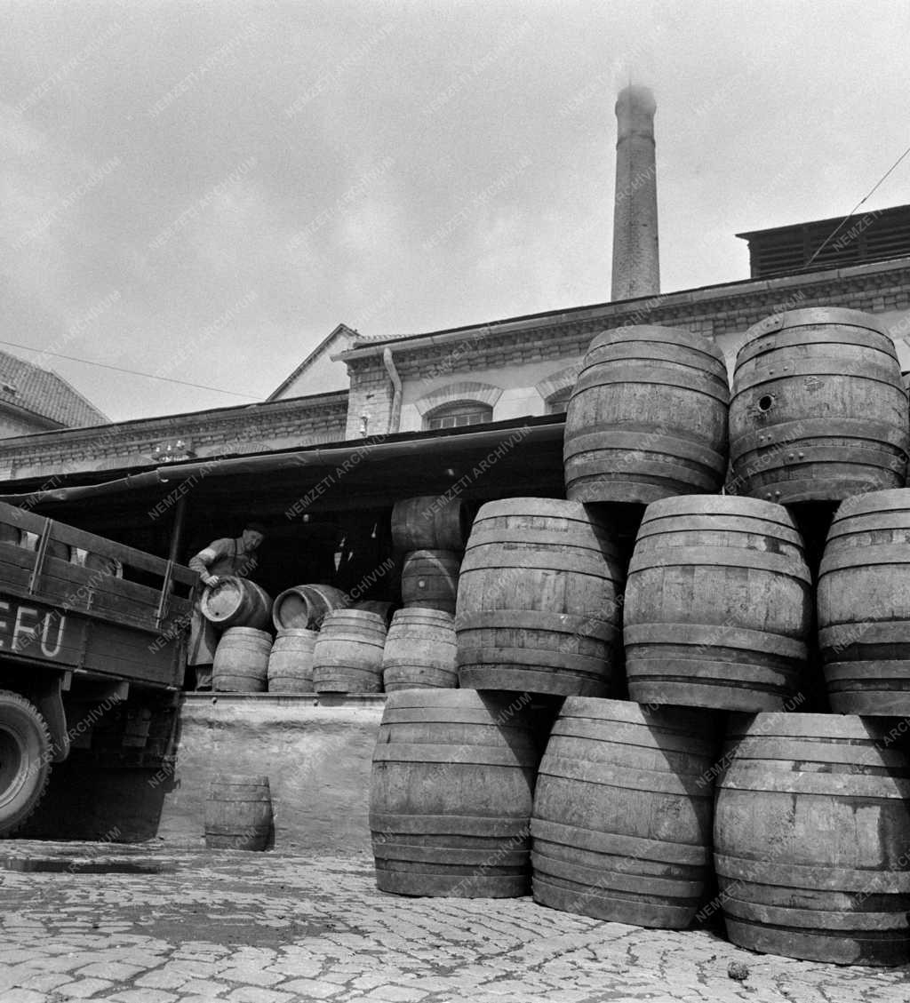 Élelmiszeripar - Fejlesztés a pécsi Pannónia Sörgyárban