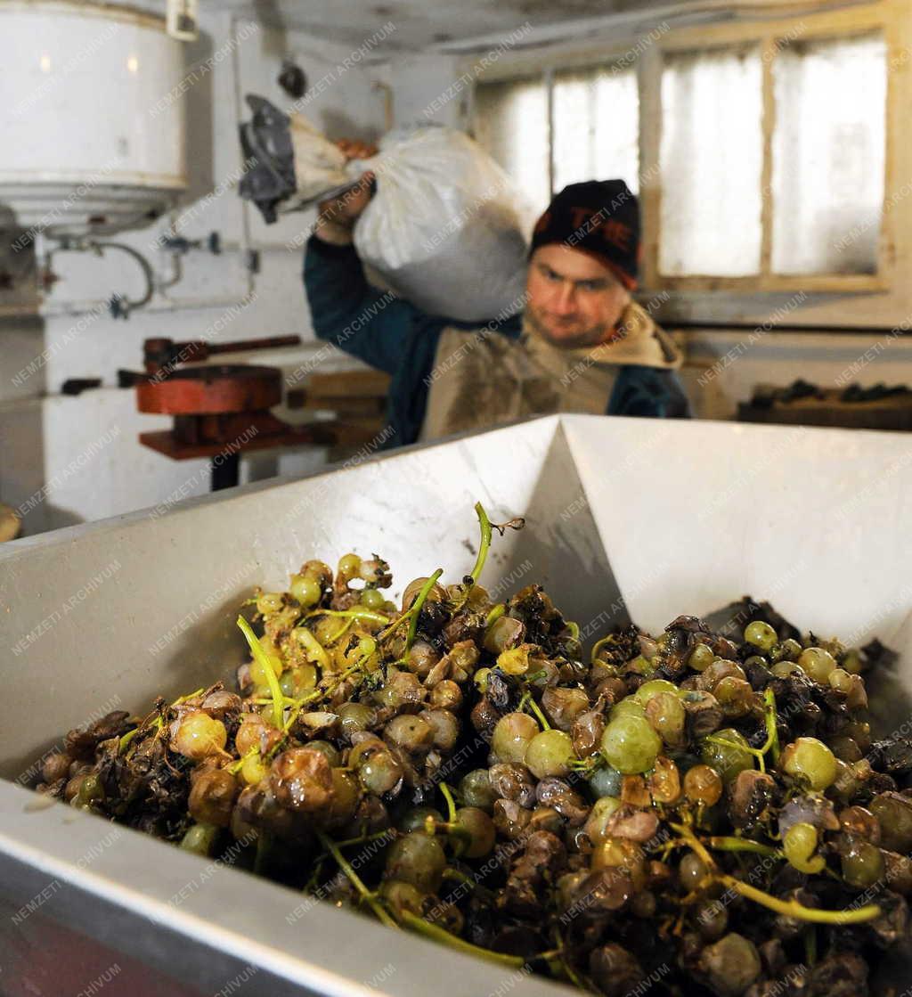Borászat - Tokaj - A Paulay Borház 