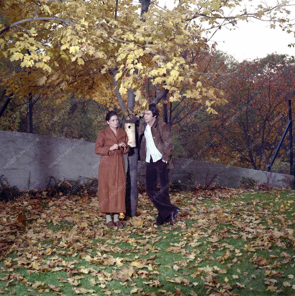 Kultúra - Film - Házimozi című tv film forgatása