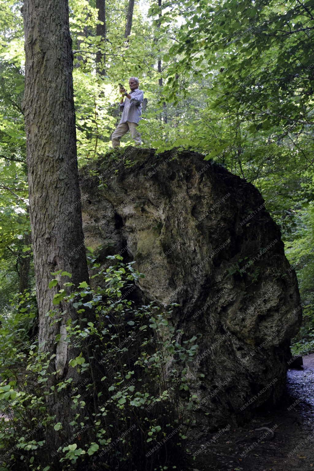 Természet - A Csurgó-kút Farkasgyepűnél