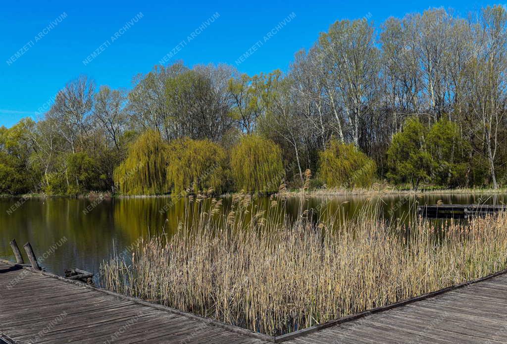 Tájkép - Vekeri-tó