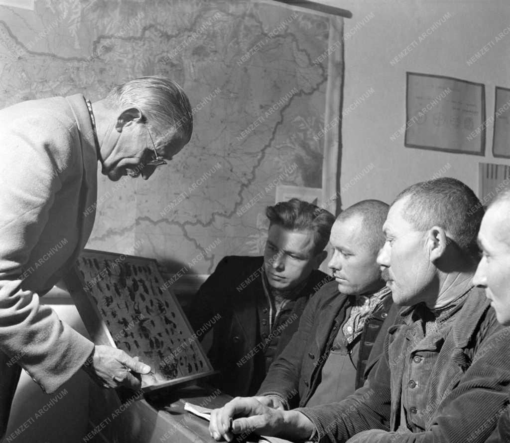 Oktatás - Felnőttképzés Püspökhatvanban