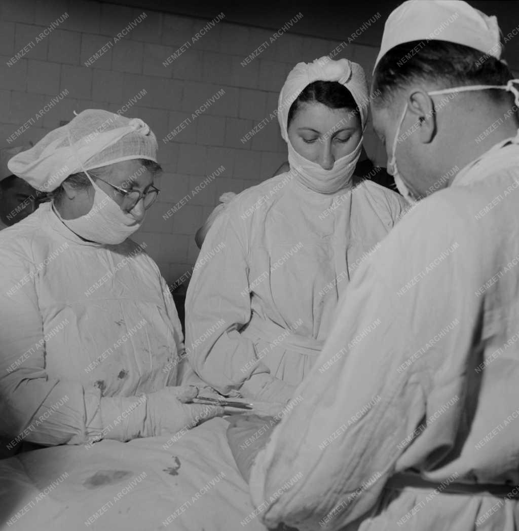 Egészségügy - Dr. Ladányi Józsa debreceni főorvos