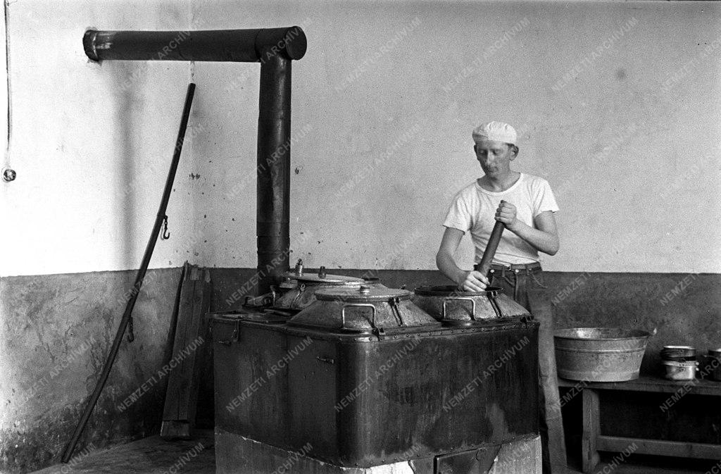 Hadifogoly érk. elők.