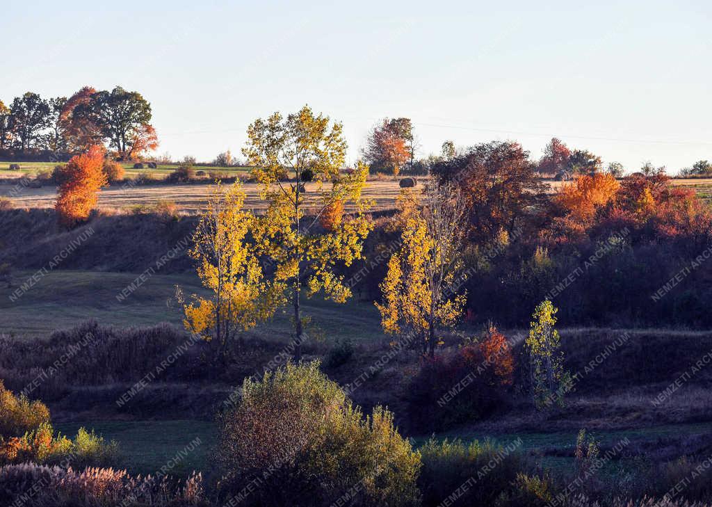 Természet - Zsobok - Ősz a határban
