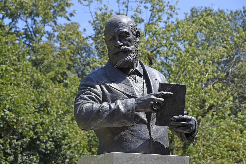 Köztéri szobor - Budapest - Zsivora György mellszobra