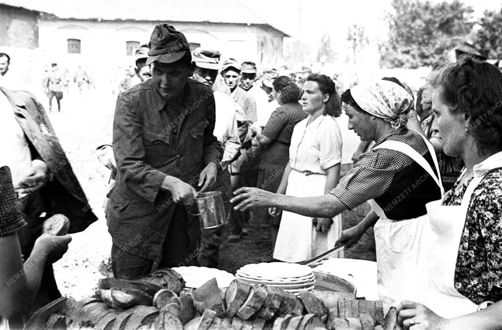Hadifoglyok érkezése - MNDSZ