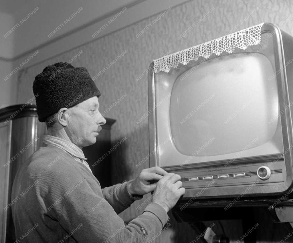 Mezőgazdaság - Tóth Pál, a Lajosmizsei Aranyhomok Termelőszövetkezeti csoport elnöke