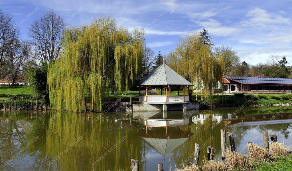 Település - Felsőmocsolád - Kacskovics–Bánó-kastély parkja