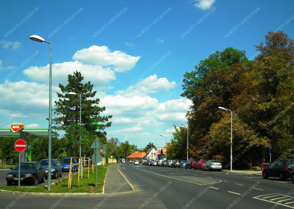 Városkép - Leányfalu