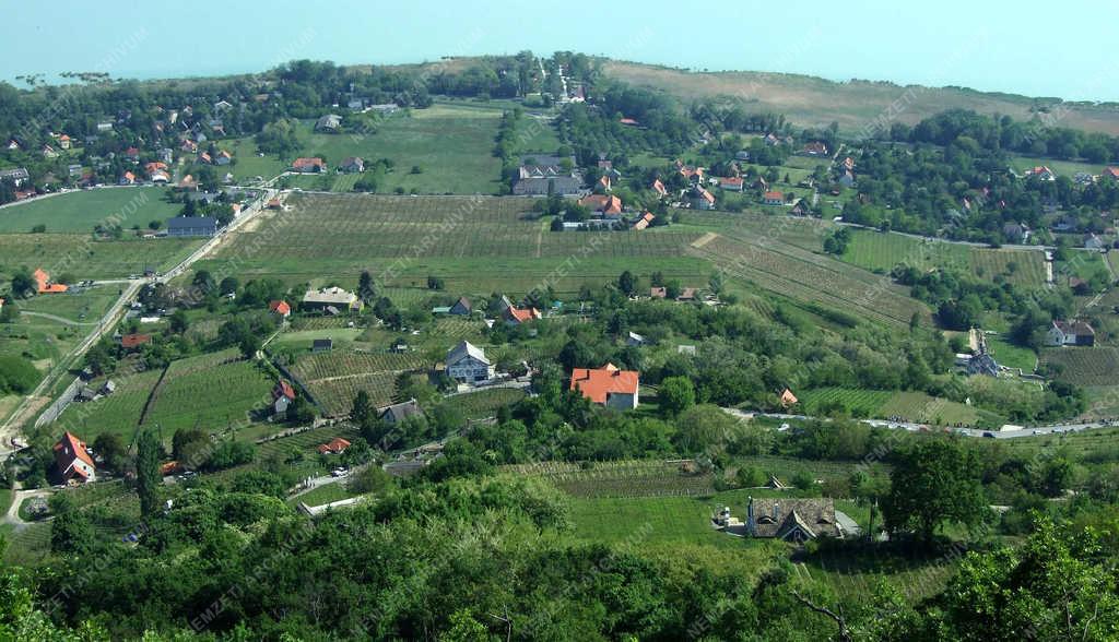 Történelmi borvidék - Badacsony - Szőlőtáblák