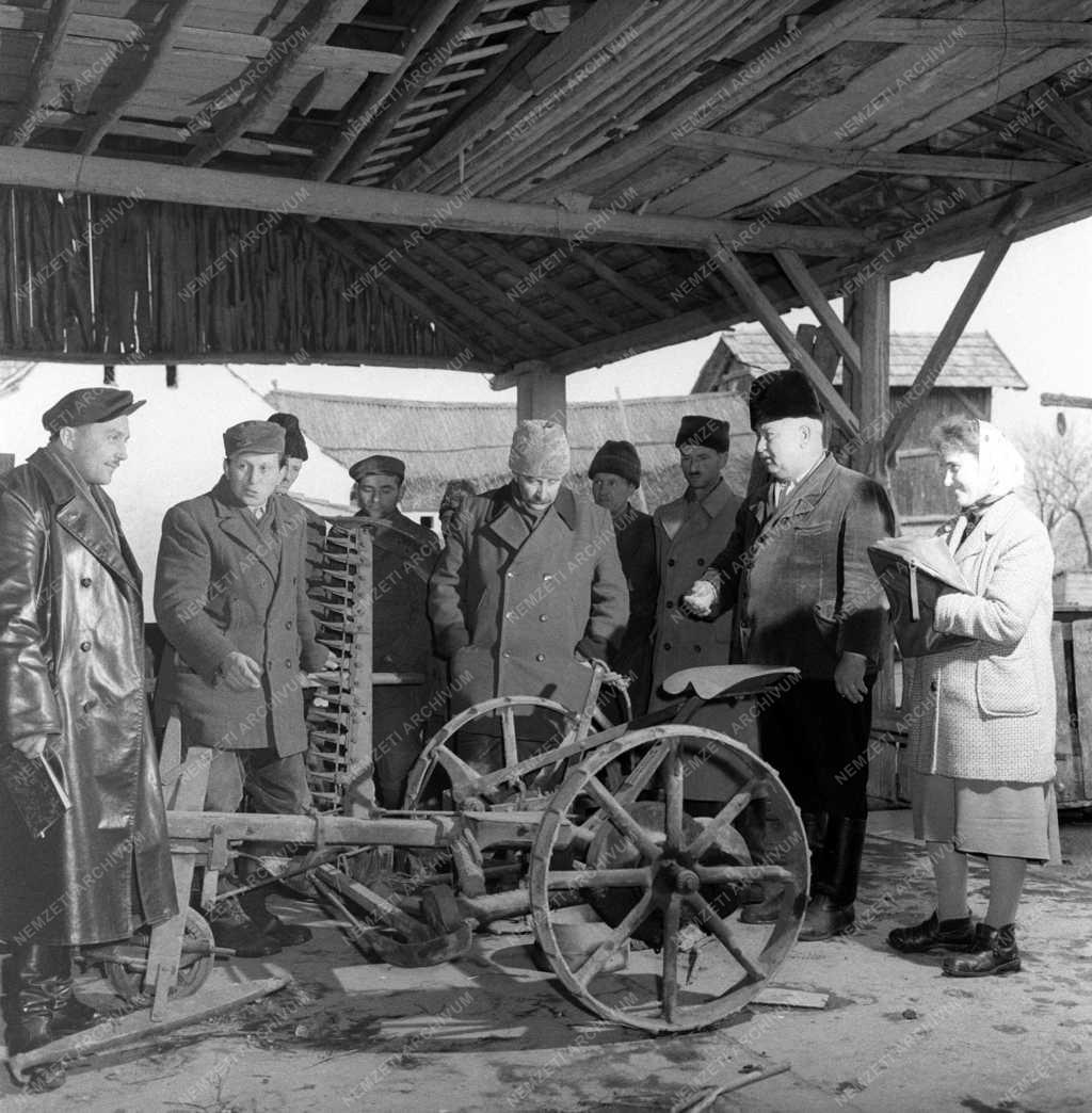 Mezőgazdaság - Új tagok a Héderváry Rózsa Ferenc Tsz-ben