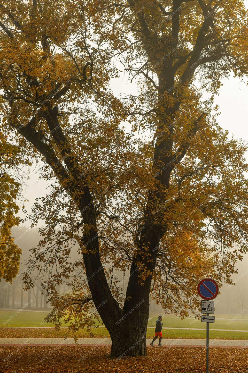 Időjárás - Debrecen - Párás, ködös idő