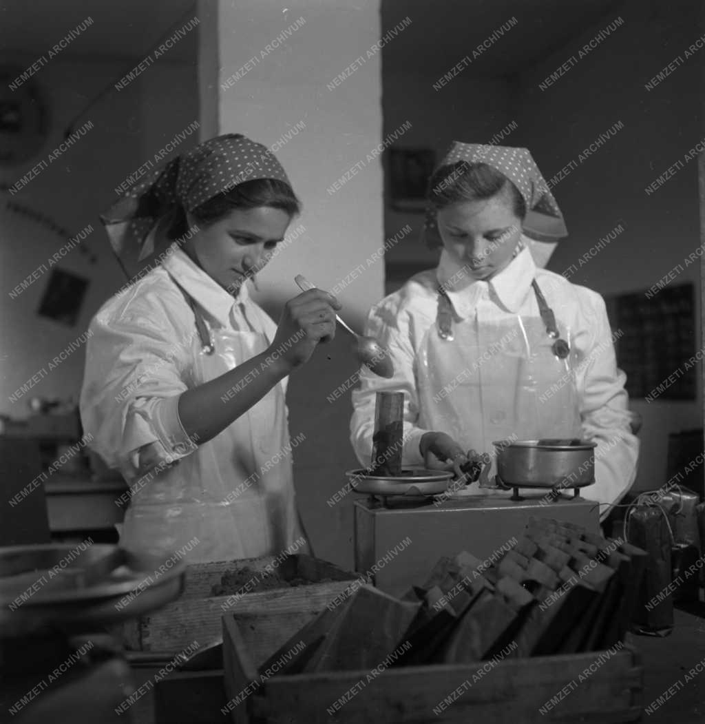 Élelmiszeripar – Paprikatermelés és -feldolgozás Szegeden