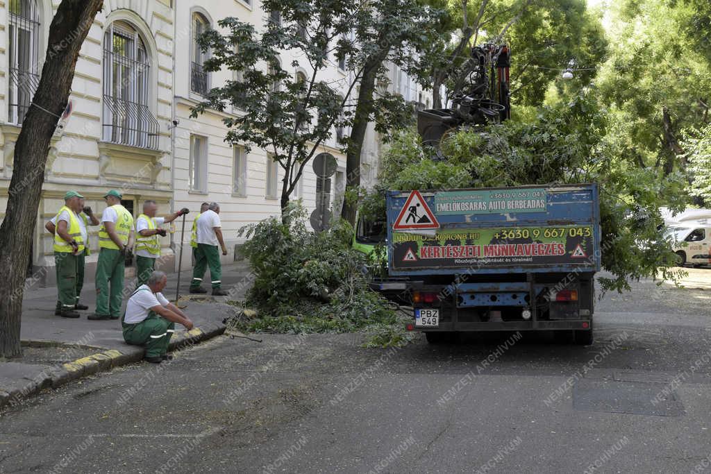 Városkép - Budapest - Fakivágás a Benczúr utcában