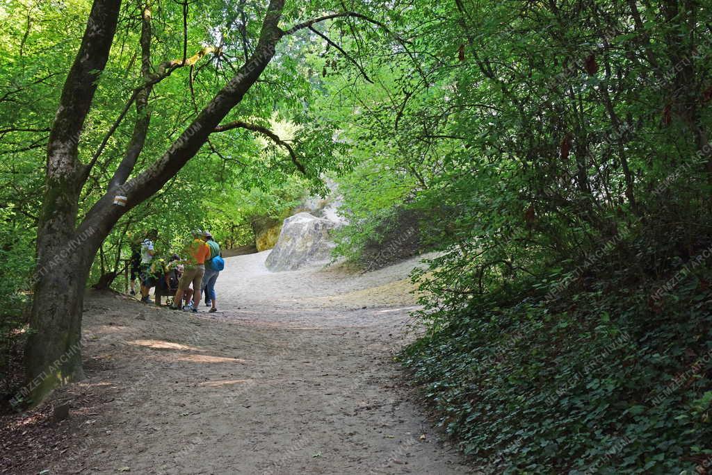 Tájkép - Alsó-Jegenye völgy Solymárnál
