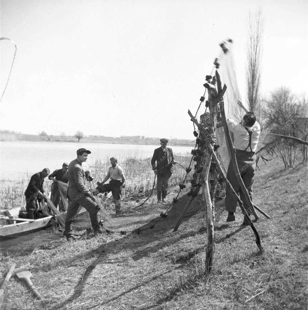 Mezőgazdaság - Halászat - Halászok hálóval