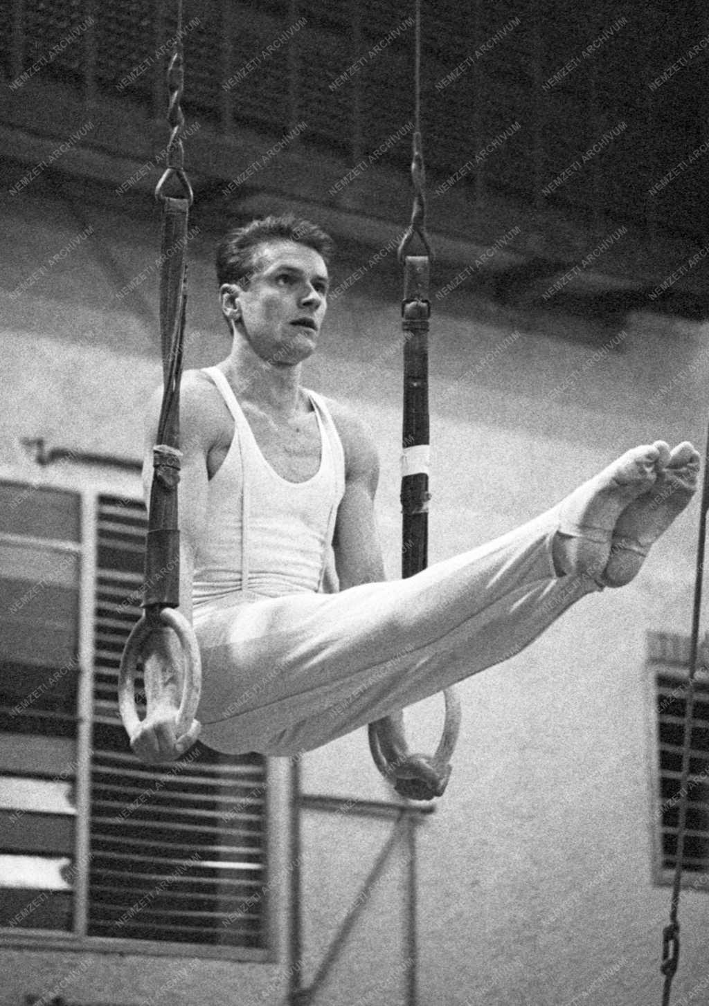 Sport - Mesterfokú férfi tornászbajnokság