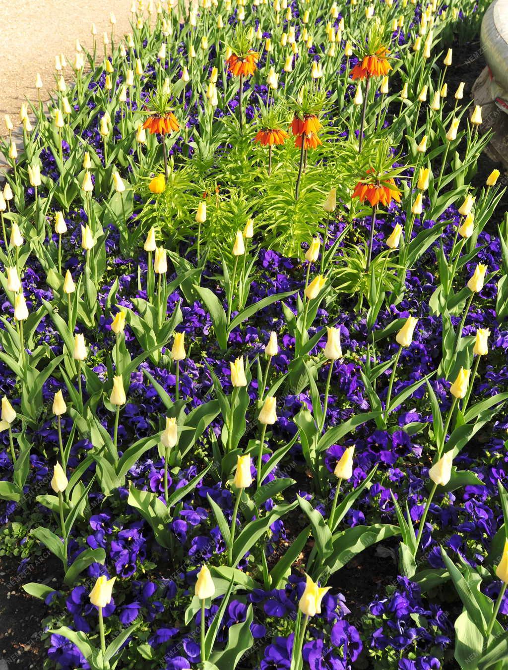 Budapest - Közpark - Károlyi-kert