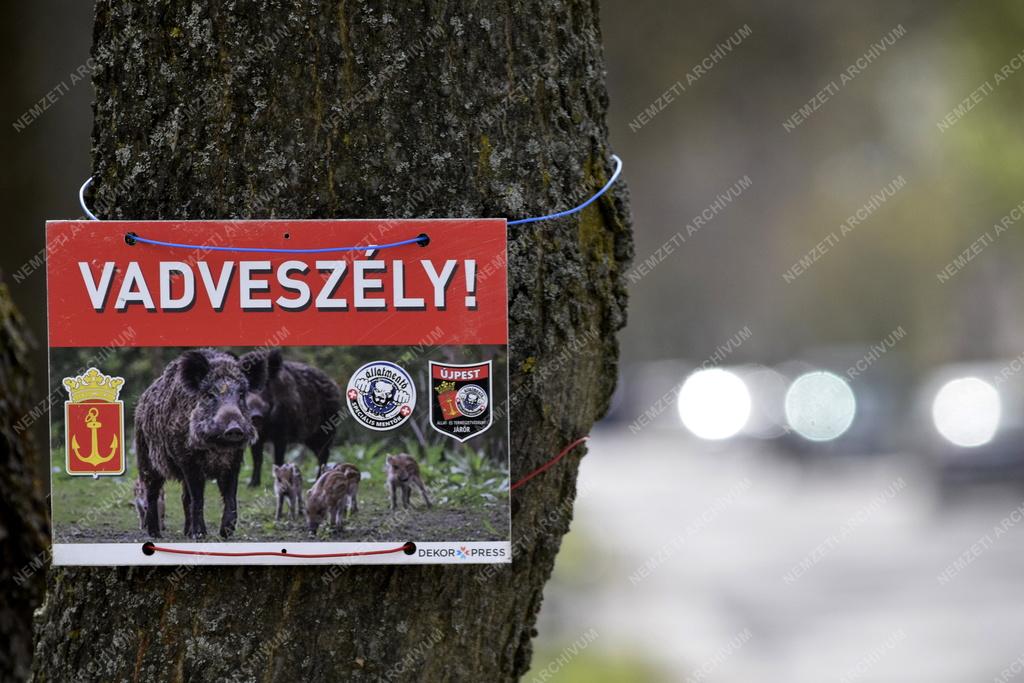 Érdekesség - Budapest - Vadveszélyre figyelmeztető tábla
