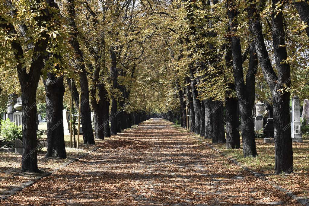 Temető - Budapest - Fiumei úti sírkert