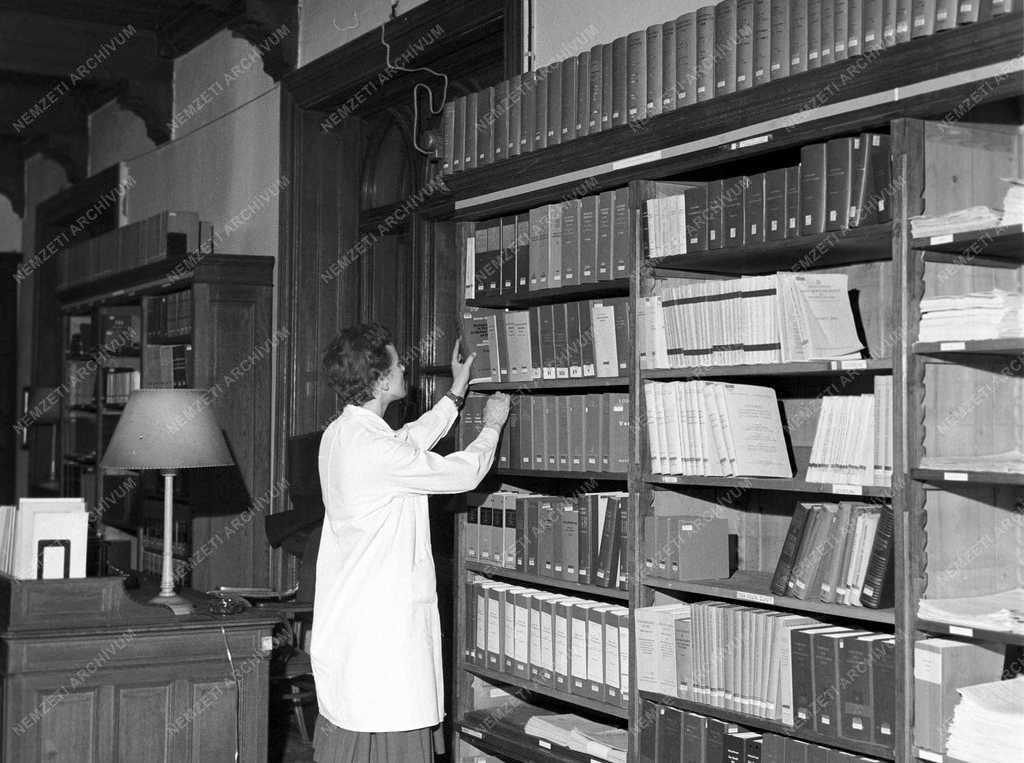 Évforduló - 100 éves az OGYK